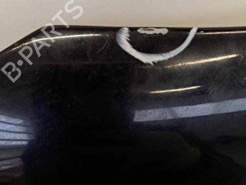 Left front fenders CITROËN C4 II (NC_) 1.6 HDi 110 | BP28395687C41 