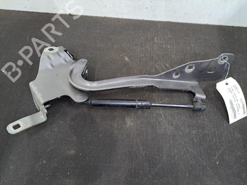 Used Hinge/Door check strap RENAULT SCÉNIC III (JZ0/1_) 1.6 dCi (JZ00, JZ12) (130 hp) 29146995