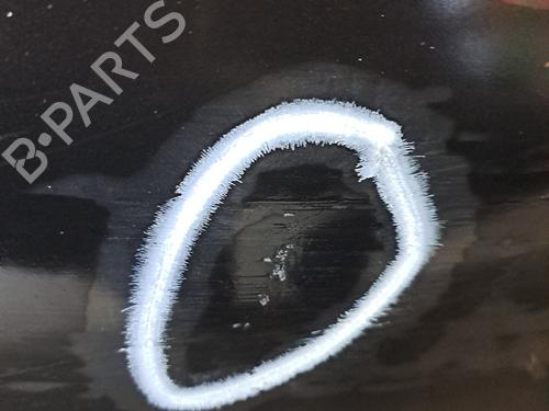 Right front door RENAULT LAGUNA III (BT0/1) 2.0 dCi (BT07, BT0J, BT14, BT1A, BT1S) | BP29974508C3