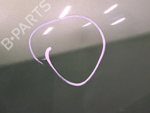 Left slide door RENAULT KANGOO / GRAND KANGOO II (KW0/1_) 1.5 dCi 90 (KW05, KW08, KW0G, KW11) | BP28398276C74 