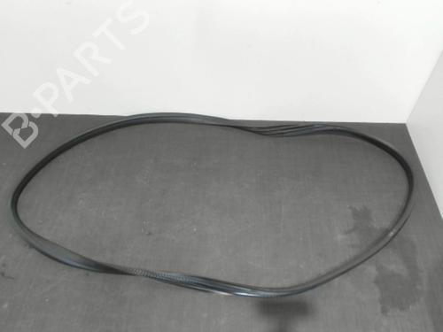 Used Rubber door seal RENAULT CLIO V (B7_) 1.0 TCe 100 (B7MT) (101 hp) 28394136