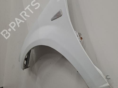Left front fenders DACIA SANDERO 1.2 16V | BP29627899C41 