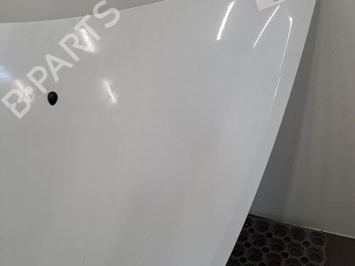 Hood RENAULT CLIO III (BR0/1, CR0/1) 1.5 dCi (C/BR0G, C/BR1G) | BP28398836C1 