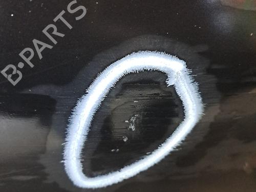 Right front door RENAULT LAGUNA III (BT0/1) 2.0 dCi (BT07, BT0J, BT14, BT1A, BT1S) | BP29974508C3