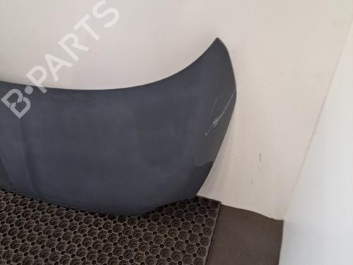 Hood FIAT 500 (312_) 1.2 (312AXA1A) | BP28392926C1