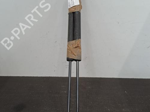 Used Tailgate lift support RENAULT SCÉNIC III (JZ0/1_) 1.5 dCi (110 hp) 28409545