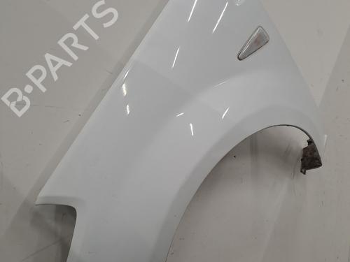 Left front fenders DACIA SANDERO 1.2 16V | BP29627899C41 
