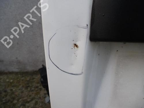 Left rear door FORD TRANSIT CONNECT (P65_, P70_, P80_) 1.8 Di | BP28411496C4 