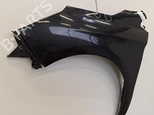 Left front fenders CITROËN C4 II (NC_) 1.6 HDi 110 | BP28395687C41 