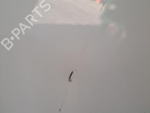 Left front door DACIA SANDERO 1.2 16V | BP29604920C2 