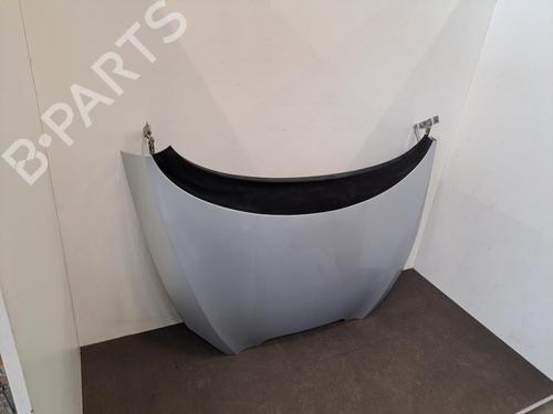 Used Hood SEAT TOLEDO III (5P2) 1.9 TDI (105 hp) 28402521