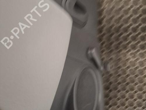 Left rear door RENAULT CLIO III (BR0/1, CR0/1) 1.5 dCi (C/BR0G, C/BR1G) | BP28398835C4 