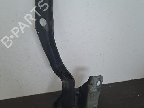 Hinge/Door check strap NISSAN QASHQAI I (J10, NJ10) 1.5 dCi | BP28389555C146