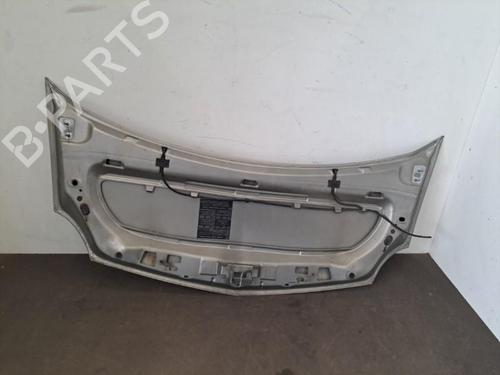 Hood RENAULT KANGOO / GRAND KANGOO II (KW0/1_) 1.5 dCi 70 (KW0V, KW0A) | BP28393443C1 