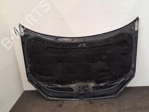 Hood VW POLO IV (9N_, 9A_) 1.4 TDI | BP28402076C1 
