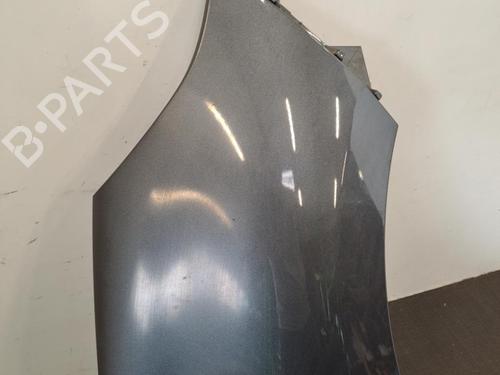 Right front fenders RENAULT SCÉNIC III (JZ0/1_) 1.5 dCi | BP28396846C42