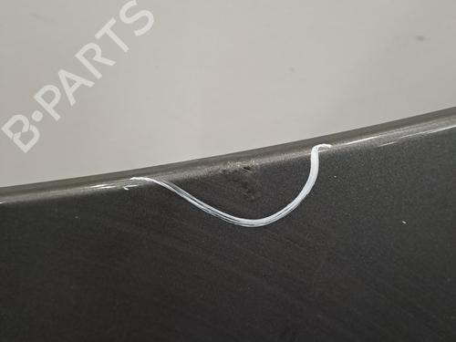 Hood PEUGEOT 308 I (4A_, 4C_) 1.6 HDi | BP28395173C1