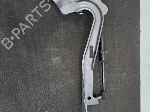 Used Hinge/Door check strap RENAULT SCÉNIC III (JZ0/1_) 1.6 dCi (JZ00, JZ12) (130 hp) 29146994