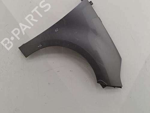 Used Right front fenders RENAULT SCÉNIC III (JZ0/1_) 1.5 dCi (110 hp) 29425759