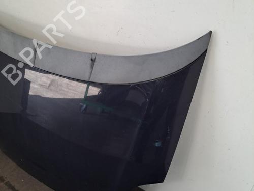 Hood FIAT GRANDE PUNTO (199_) 1.3 D Multijet | BP28409558C1