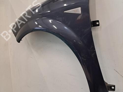 Left front fenders RENAULT SCÉNIC II (JM0/1_) 1.5 dCi (JM1F) | BP28404019C41