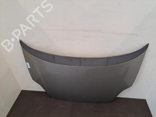 Hood FIAT GRANDE PUNTO (199_) 1.3 D Multijet | BP28396902C1 