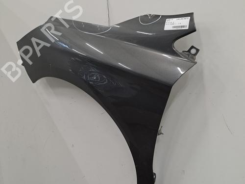 Left front fenders CITROËN C4 II (NC_) 1.6 HDi 115 | BP28390251C41 