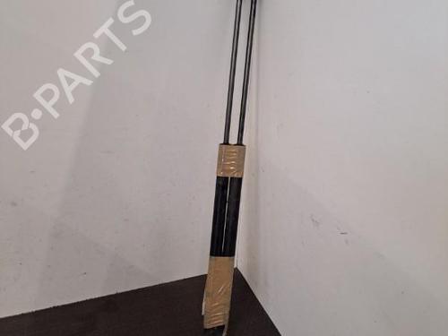 Tailgate lift support FORD FIESTA VI (CB1, CCN) 1.5 TDCi | BP28390597C138 