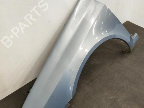 Left front fenders RENAULT LAGUNA II (BG0/1_) 2.0 16V Turbo (BG0S, BG1L, BG1M) | BP28410294C41 