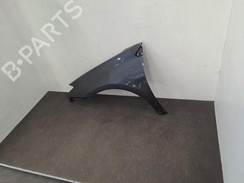 Left front fenders RENAULT LAGUNA III (BT0/1) 2.0 dCi (BT0M, BT0N, BT0S, BT19, BT1F) | BP28390832C41