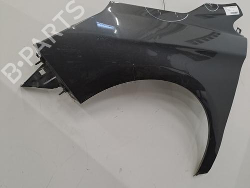Left front fenders CITROËN C4 II (NC_) 1.6 HDi 115 | BP28390251C41 