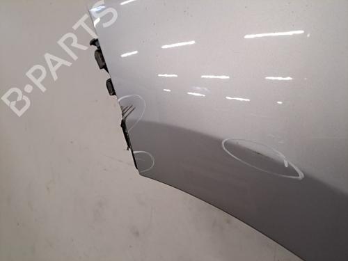 left-front-fenders-renault-megane-iii-hatchback-bz01_-b3_-2008-28409188 main image