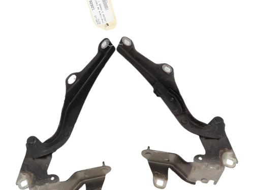 hingedoor-check-strap-renault-laguna-coupe-dt01-2008-2009-2010-2011-2012-2013-2014-2015-36655403 main image