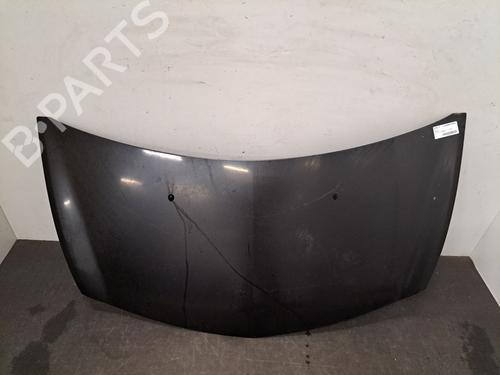 Used Hood RENAULT CLIO III (BR0/1, CR0/1) 1.5 dCi (BR17, CR17) (86 hp) 28390305