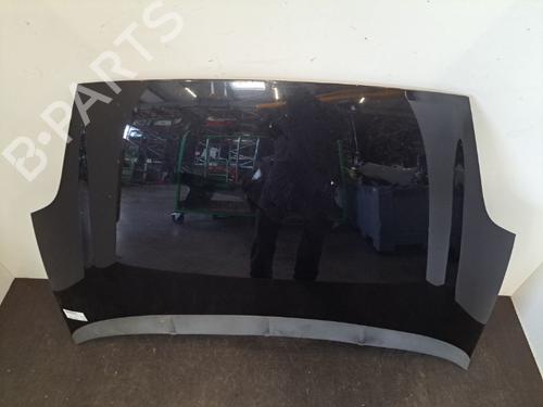 Hood FIAT GRANDE PUNTO (199_) 1.3 D Multijet | BP28393187C1