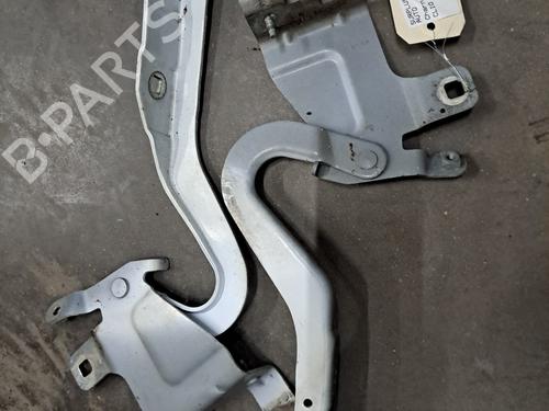 Hinge/Door check strap RENAULT CLIO IV (BH_) 1.5 dCi 75 | BP28395726C146