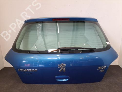 Used Tailgate PEUGEOT 307 (3A/C) 2.0 HDi 110 (107 hp) 28409946
