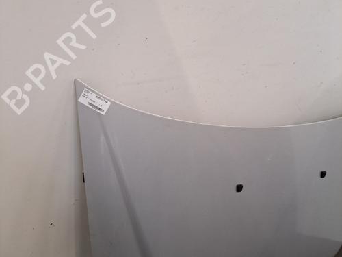 Hood FIAT DOBLO Box Body/MPV (223_) 1.9 JTD | BP28398675C1 