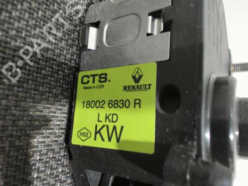 Used Pedal RENAULT MEGANE IV Hatchback (B9A/M/N_) 1.5 dCi 110 (B9A3) (110 hp) 28410900