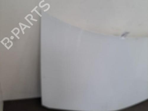 Hood RENAULT MEGANE II (BM0/1_, CM0/1_) 1.6 16V | BP28404763C1 