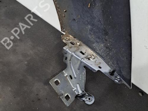 Left front fenders CITROËN C3 II (SC_) 1.4 HDi 70 (SC8HZC, SC8HR0, SC8HP4) | BP32323077C41