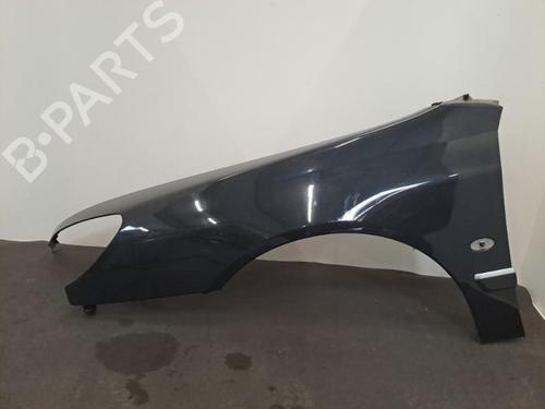 Left front fenders PEUGEOT 607 (9D, 9U) 2.2 HDi | BP28404775C41 