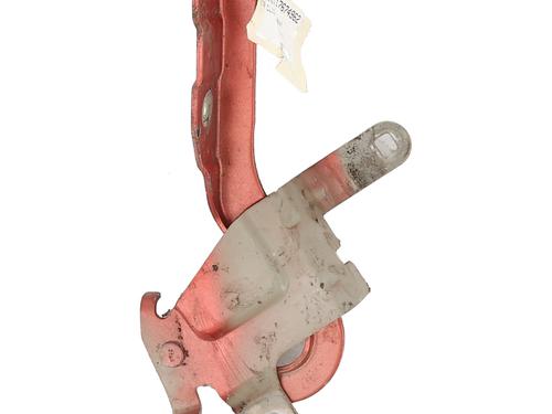 hingedoor-check-strap-renault-clio-iv-bh_-2012-2013-2014-2015-2016-2017-2018-2019-2020-2021-31610660 main image