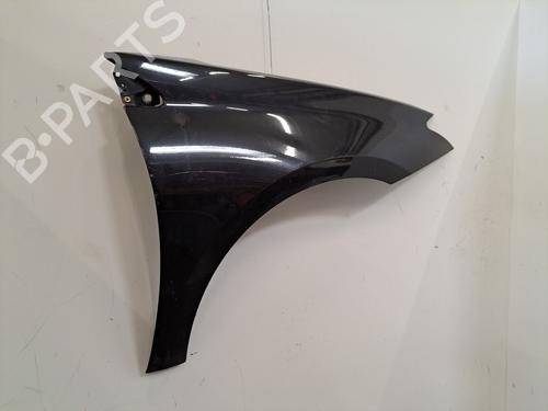 Right front fenders RENAULT LAGUNA III (BT0/1) 1.5 dCi (BT00, BT0A, BT0T, BT1J) | BP28395374C42