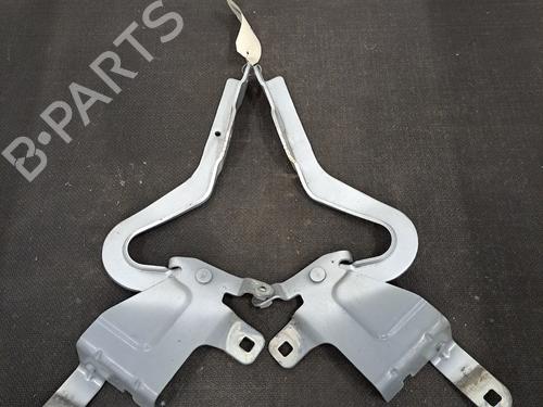 Hinge/Door check strap RENAULT CLIO IV (BH_) 1.5 dCi 75 | BP29759680C146