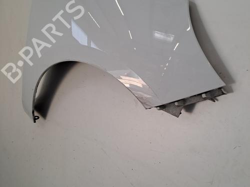 Right front fenders RENAULT SCÉNIC III (JZ0/1_) 1.5 dCi | BP29268566C42 