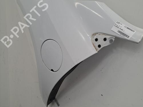 Left front fenders RENAULT FLUENCE (L3_) Z.E. | BP29887184C41