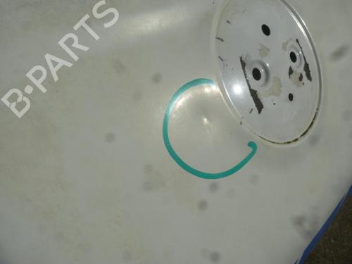 Hood FIAT QUBO (225_) 1.3 D Multijet (225CXB1A, 225AXB1A, 225CXB11, 225AXB11,... | BP28411311C1 