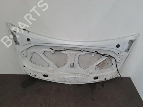 Hood RENAULT CLIO III (BR0/1, CR0/1) 1.2 16V Hi-Flex (BR1U, CR1U) | BP28393234C1 