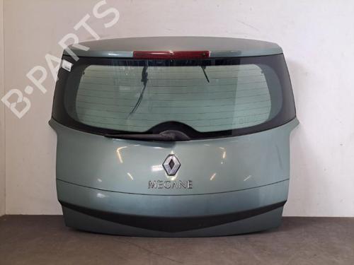 Tailgate RENAULT MEGANE II (BM0/1_, CM0/1_) 1.9 dCi (BM0G, CM0G) | BP28399030C6